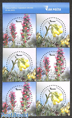 Flora 6v in booklet