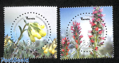 Flora 2v