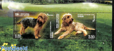 Barak dog s/s