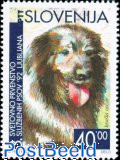 Dogs, Slovenian Shepherd dog 1v