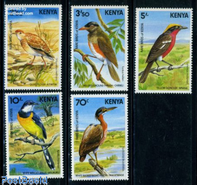 Birds 5v