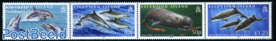 Whales & dolphins 4v [:::]