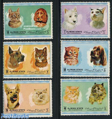 Young cats & dogs 6v