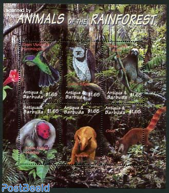 Rain forest animals 6v m/s