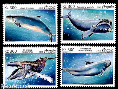 Whales 4v