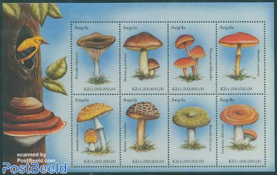 Mushrooms 8v m/s, Russula nigricans