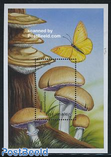 Mushroom s/s, Agaricus haemorholdarius