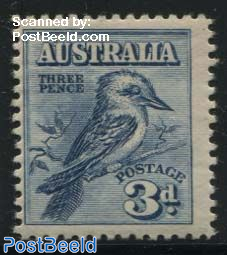 Kookaburra bird 1v