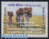 Int. Rice year 1v