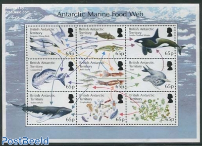 Marine Food Web 9v m/s