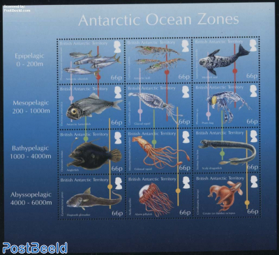 Antarctic Ocean Zones 12v m/s