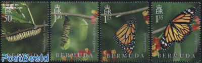 Monarch Butterfly 4v