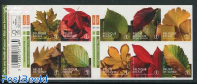 Autumn trees 10v s-a in foil booklet