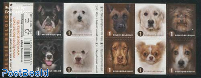 Dogs 10v s-a in foil booklet