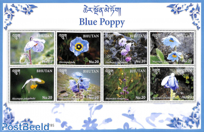 Blue Papaver 8v m/s