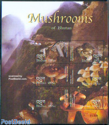 Mushrooms 6v m/s /Russula Integra