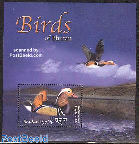 Birds s/s