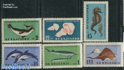 Black sea animals 6v