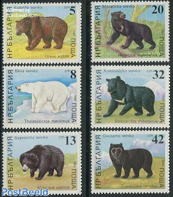 Bears 6v