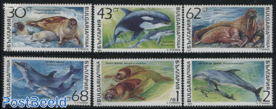 Sea mammals 6v