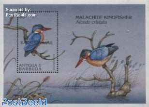 Malachite Kingfisher s/s