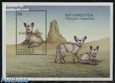 Bat-Eared Fox s/s