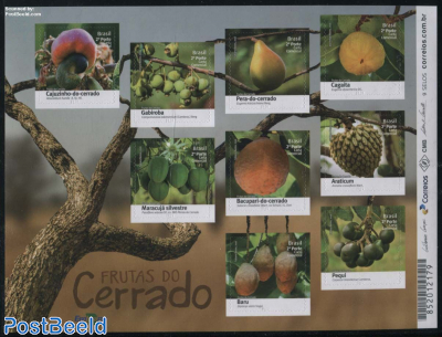 Fruits of Cerrado 9v s-a m/s