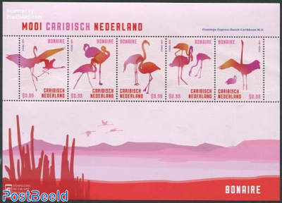 Birds Bonaire 5v m/s