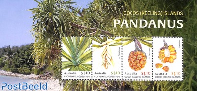 Pandanus s/s