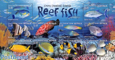 Reef Fish m/s