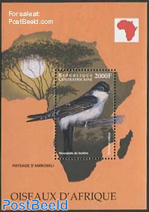African bird s/s, Delichon urbica
