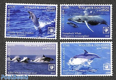 Whales & Dolphins 4v