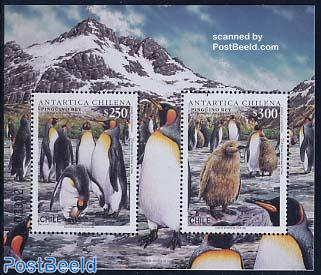 Antarctica, penguin s/s