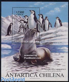 Antarctica s/s