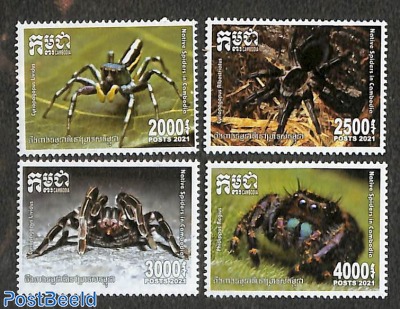 Domestic spiders 4v