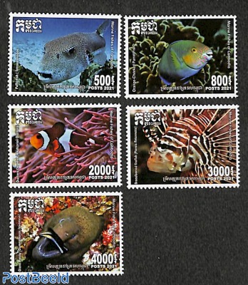 Marine fish 5v