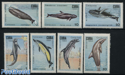 Whales & Dolphins 7v