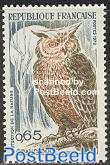 Owl 1v