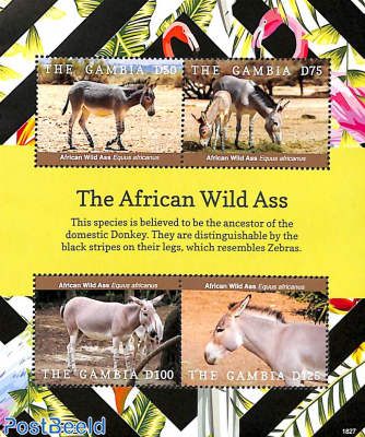 The African Wild Ass 4v m/s