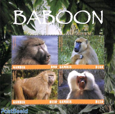 Baboon 4v m/s