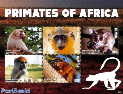 Primates of Africa 5v m/s