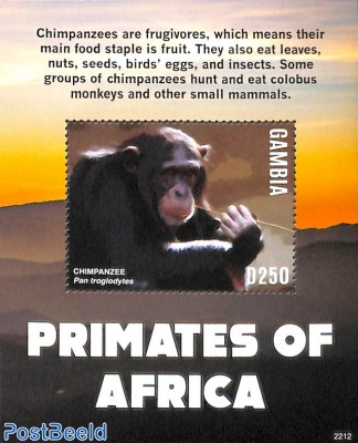 Primates of Africa s/s