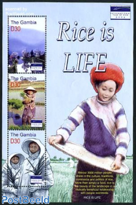 Rice is life 3v m/s