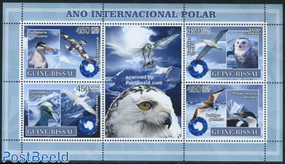 Int. Polar year, birds 4v m/s