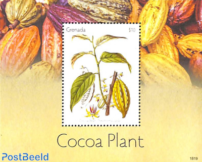 Cocoa plant s/s