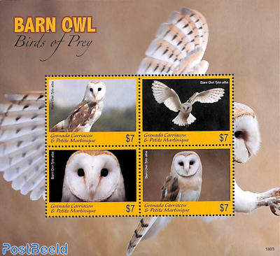 Barn Owl 4v m/s