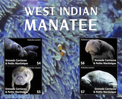 West Indian Manatee 4v m/s