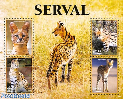 Serval 4v m/s