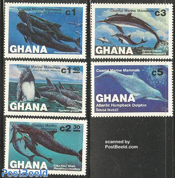 Whales, dolphins 5v