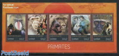 Primates 5v m/s